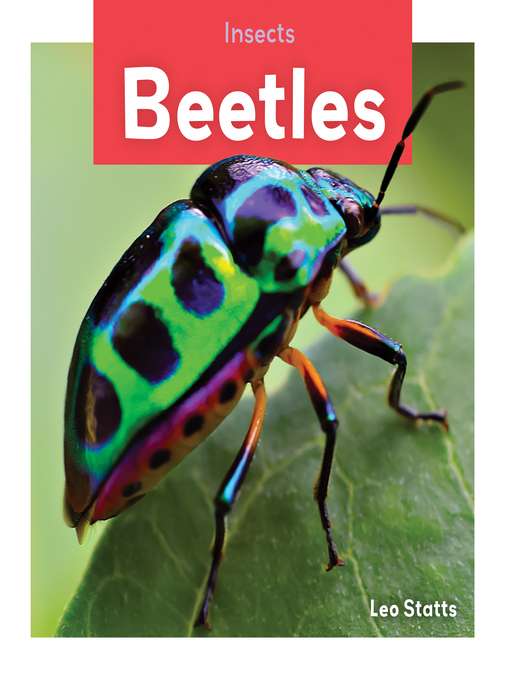 Kristin Petrie创作的Beetles作品的详细信息 - 可供借阅